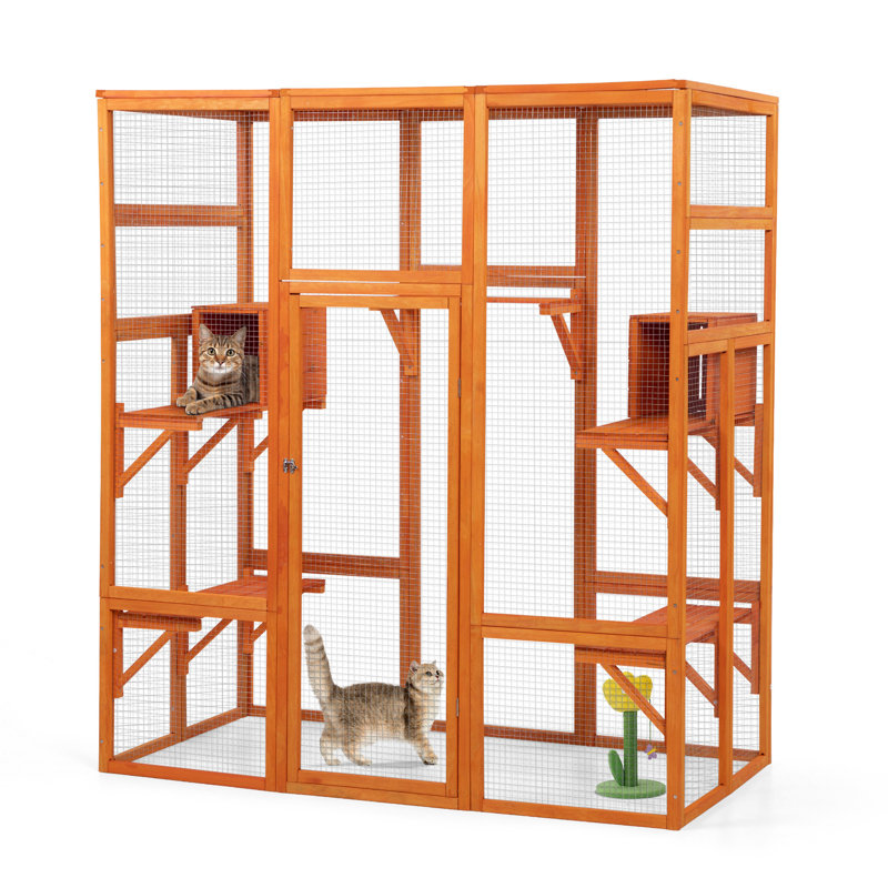 Catio wayfair best sale